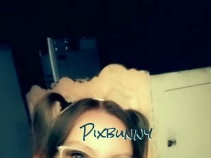 Pixbunny